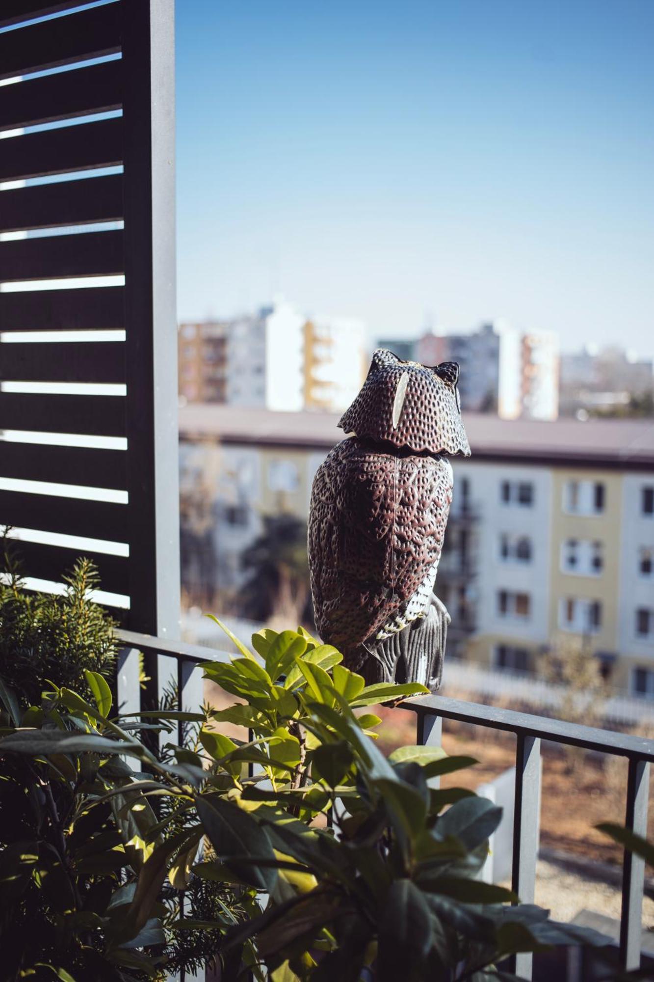 Modern 1 Bedroom ǀ Ac, Free Parking Apartment *
